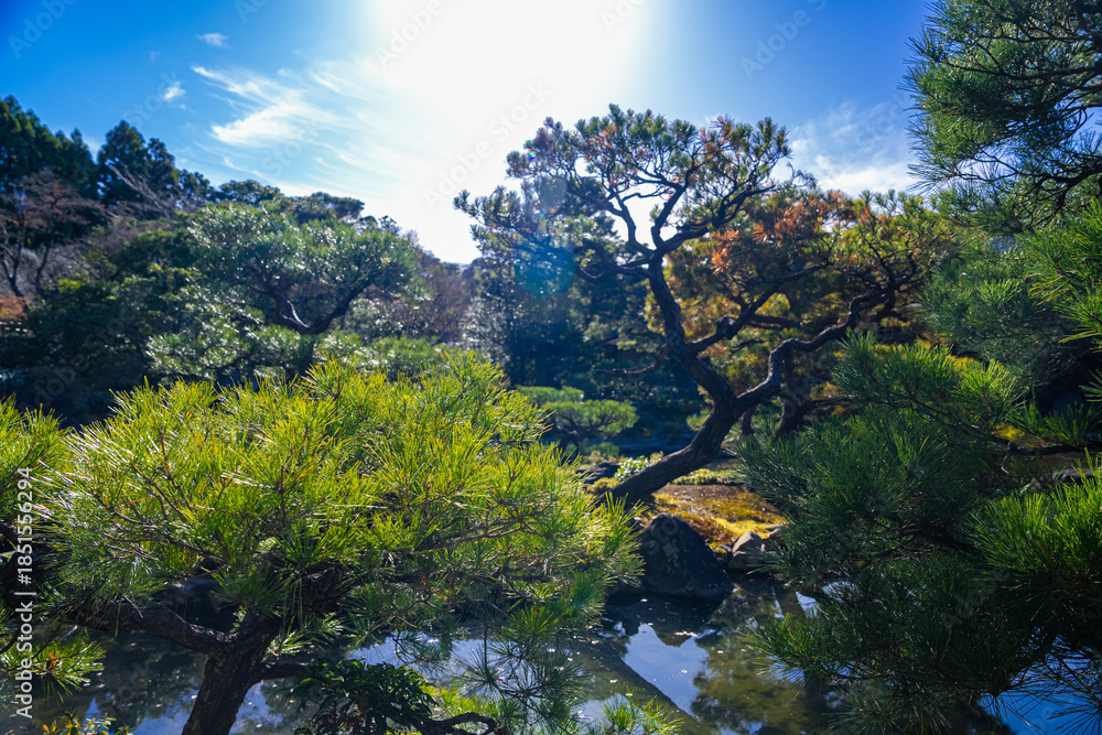 Obraz premium 京都の對龍山荘の庭園