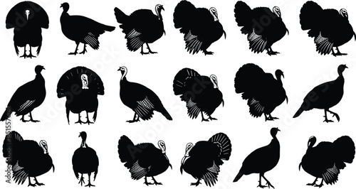 Set of woman sitting on chair silhouette vector illustration, female pose collection, side profile view, business, interview, elegant, adult, black graphic minimal design elements.