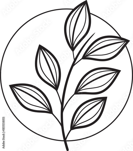 Nature Leaf Branch Plant Environment Design