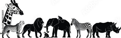 African wildlife animal silhouettes collection, safari mammals lineup including giraffe lion elephant zebra rhinoceros, detailed black vector illustration for nature and conservation themes