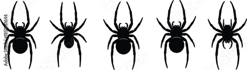 Spider silhouettes vector illustration set, black arachnid insect collection, creepy halloween animal icons, isolated scary design elements