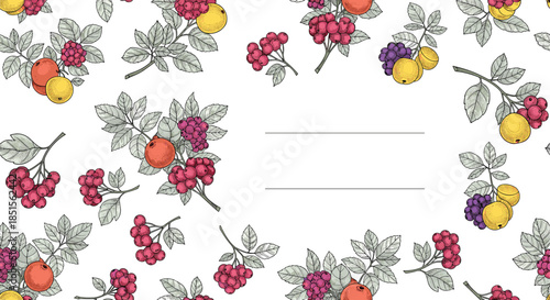 Botanical frame or border design with colorful hand-drawn rowanberries and other fruits on branches, with copy space in the center.