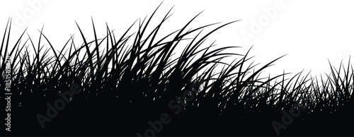 Tall grass silhouette vector illustration, black grass blades, nature texture, outdoor landscape element, CAD drawing flat vector illustration, minimal botanical design