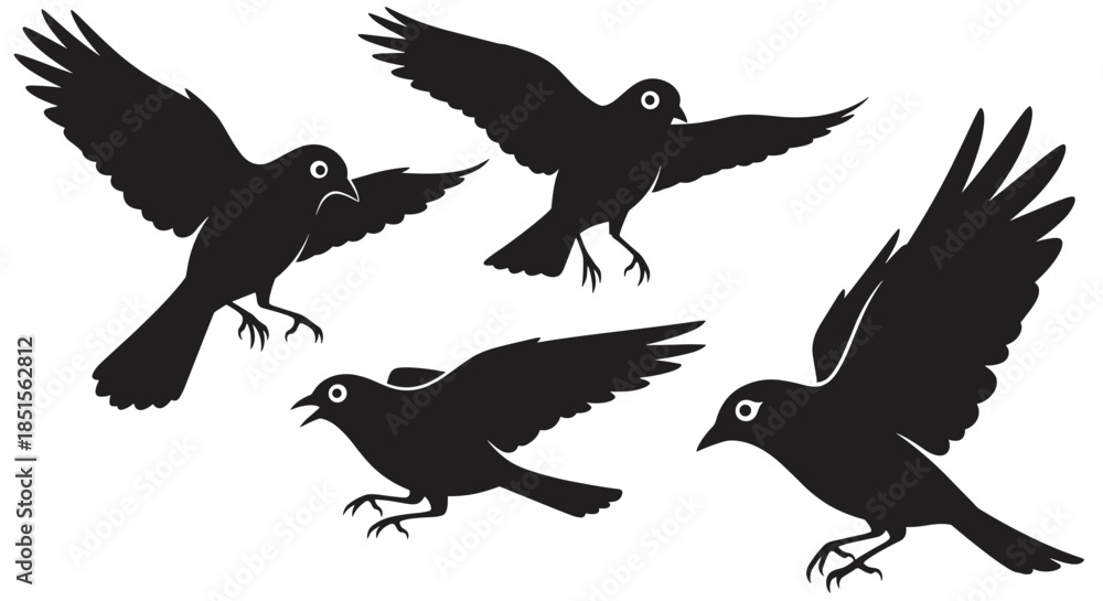 Fototapeta premium Set of four black bird silhouettes in various dynamic flying and landing poses, isolated against a simple plain white background.