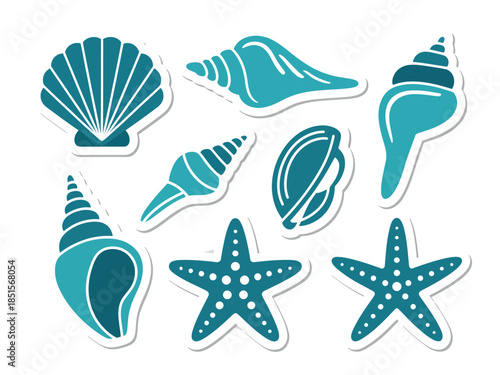 Teal Sea Shells and Starfish Collection
