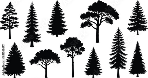 Tree silhouette vector set, forest shapes, botanical tree forms, nature illustration, woodland design, black tree icons, diverse foliage, landscape elements
