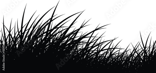 Tyrannosaurus Rex dinosaur fossil skeleton silhouette vector illustration, detailed black shape of prehistoric 