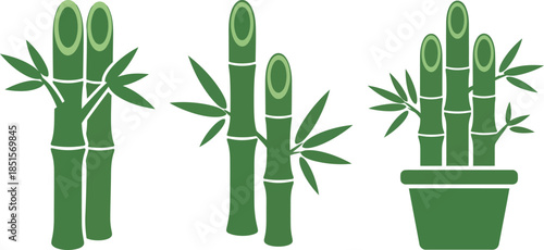 Bamboo plants in various stages of growth illustrated in a simple graphic style