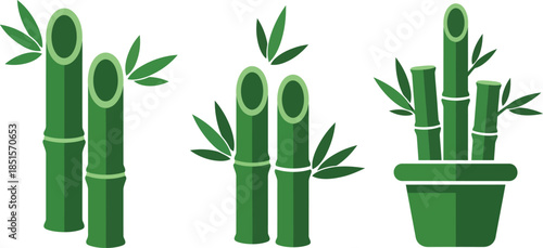 Celebrating Chinese New Year with Lunar Traditions and Bamboo Plants in a Serene Indoor Environment