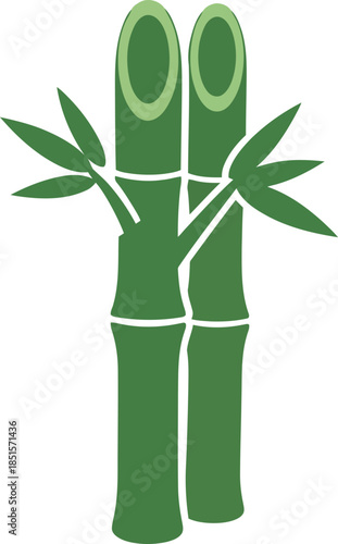 Illustration of bamboo stalks with leaves on a white background