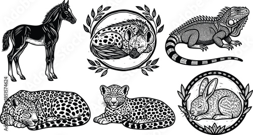 Hand drawn animal illustration vector set, horse leopard iguana rabbit wildlife sketches, detailed black and white vintage engraving style for tattoo, logo, print