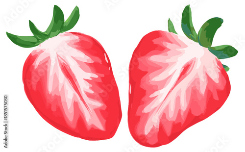 苺手描きイラスト_2つ断面