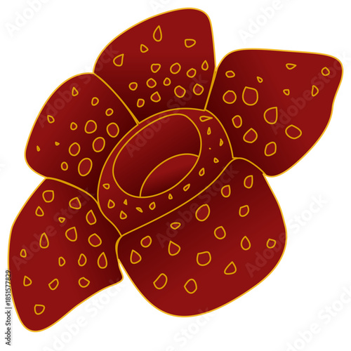 Rafflesia Flower Illustration Indonesian Tropical Rare Plant Art