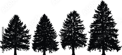 Conifer tree silhouette, evergreen forest vector, pine shape comparison, black nature design, botanical illustration, foliage density chart, woodland concept