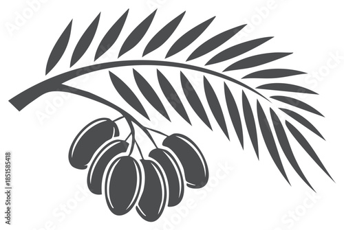Detailed Palm Branch with Hanging Fruits Graphic Illustration Isolated