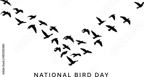 Black silhouette of birds flying in a V formation celebrating national bird day concept