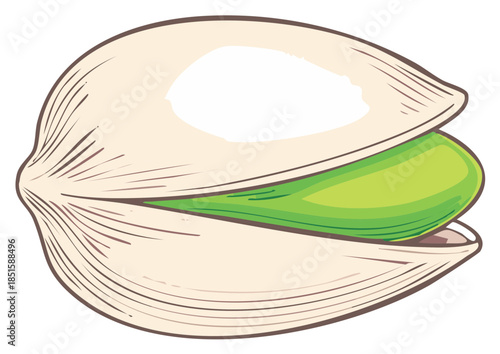 Illustration of a pistacho nut isolated on white background.  Fresh food concept
