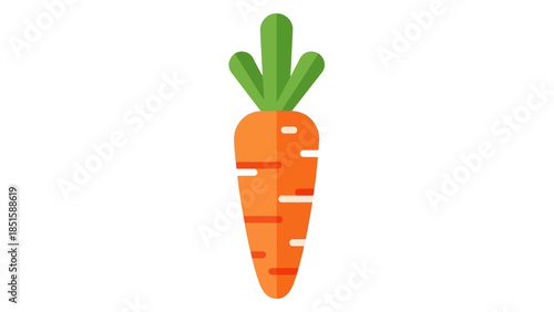 Fresh orange carrot vegetable with green leaves isolated on white background as a healthy organic raw food illustration for diet and nutrition