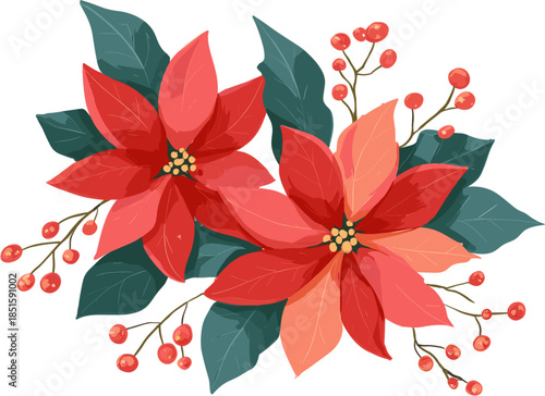 Stylish flat vector christmas flower poinsettia with holly leaves and berries on a white background. Flat cartoon vector illustration of christmas flowers in a red color.