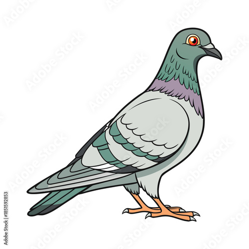 Pigeon Cartoon Illustration Isolated on White Background, Cute Urban Bird Character
