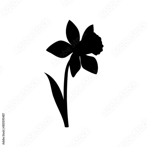Striking silhouette of a daffodil flower with distinctive trumpet shape and stem