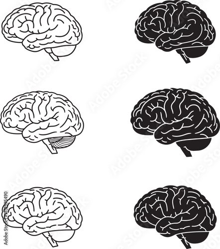 Illustrations of human brain anatomy in Solid Silhouette and Line Art styles