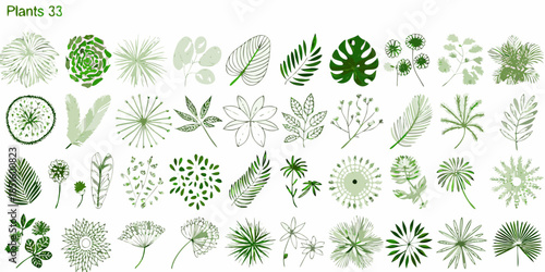 A diverse collection of botanical illustrations featuring various leaf shapes and textures
