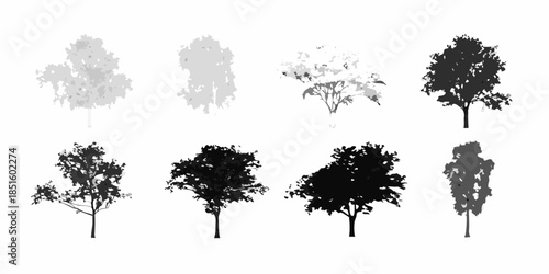 Variations of tree silhouettes in grayscale and black showcasing diverse forms