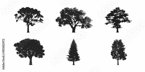 A collection of silhouetted trees with diverse shapes and foliage styles