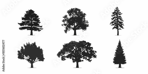 Silhouettes of various tree types against a plain white background