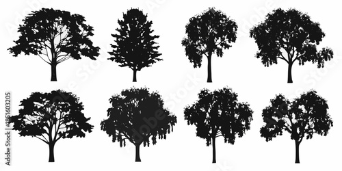 A collection of diverse tree silhouettes against a solid white background