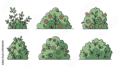 Illustration of various flowering bushes in different stages of bloom from multiple viewpoints