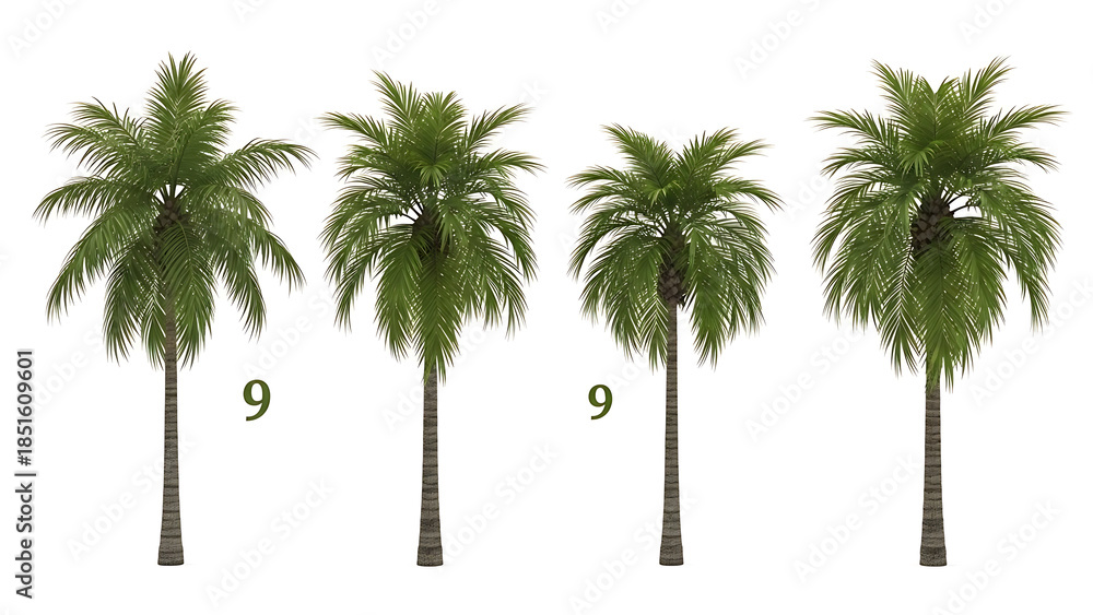 Obraz premium Four tall palm trees in a row