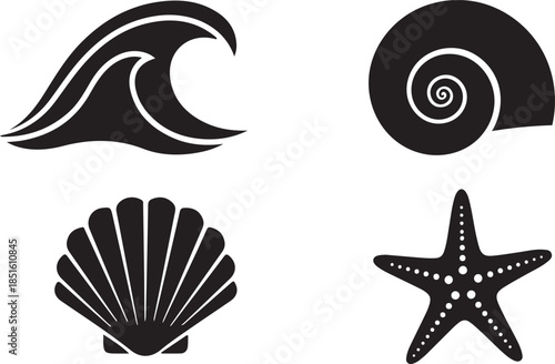 Set of sea shells vector illustration with starfish and ocean pattern design