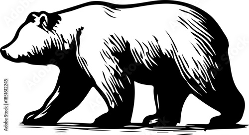 Detailed Outline Vector Illustration of Grizzly Bear Walking in Forest
