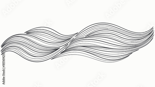 Black and White Hair Illustration Design.