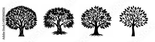 Four distinct mature trees with dense foliage and intricate branches rendered in a silhouetted graphic style suitable for various design applications