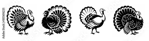 Four detailed black and white line art drawings of turkeys in strutting poses