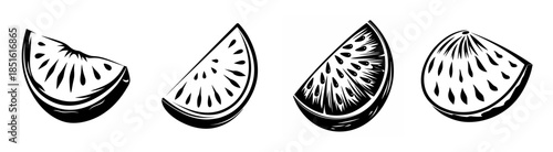 Four hand-drawn style sketches of watermelon slices showcasing their juicy interior details
