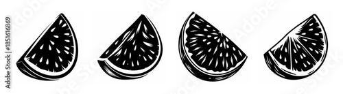 Four hand drawn watermelon slices artistic black and white sketch fruit food elements for design projects