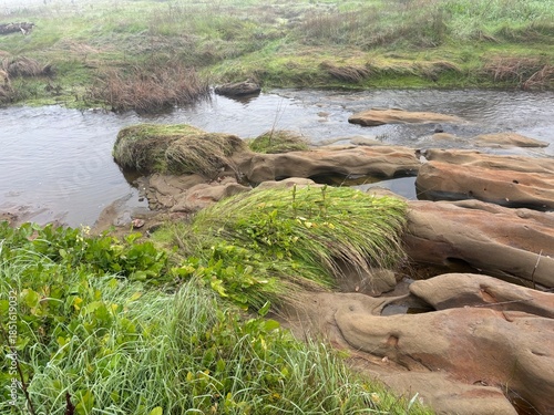 Stream Water Rushing over Rocks