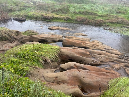 Flat Stones in Shallow River