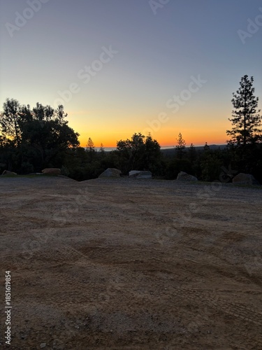 Rugged Mountain Path and Forest