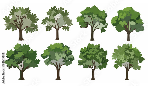 Green illustrated tree collection with fig trees and fresh foliage isolated on white background