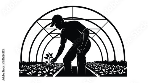 Silhouette of a farmer tending to young plants inside a large arched greenhouse structure
