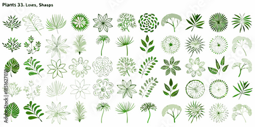 A collection of diverse green leaf and floral shapes arranged in a grid pattern