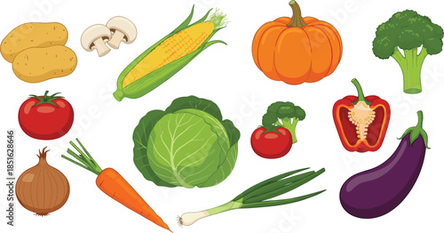 Fresh organic vegetable collection set with pumpkin tomato carrot broccoli eggplant corn potato onion and cabbage for healthy cooking