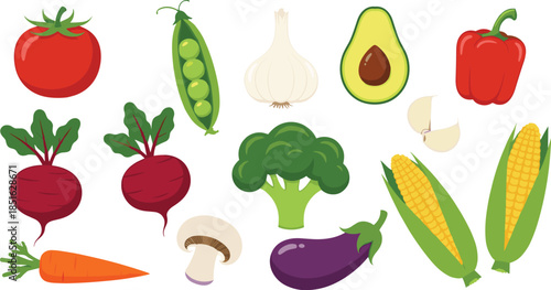 Large Collection of Fresh Organic Vegetable Vectors Including Tomato Broccoli Corn Avocado Carrot and Beetroot Isolated on White Background