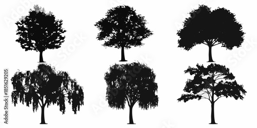 Silhouettes of various trees against a plain white background