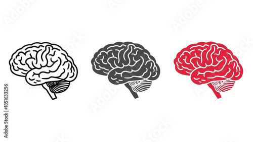 Collection of three stylized human brain icons in outline, solid, and color styles